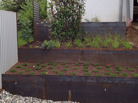 TeichundGarten