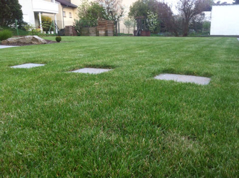 PlatzimGruenen
